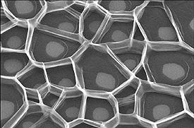 Combs of nano tubes